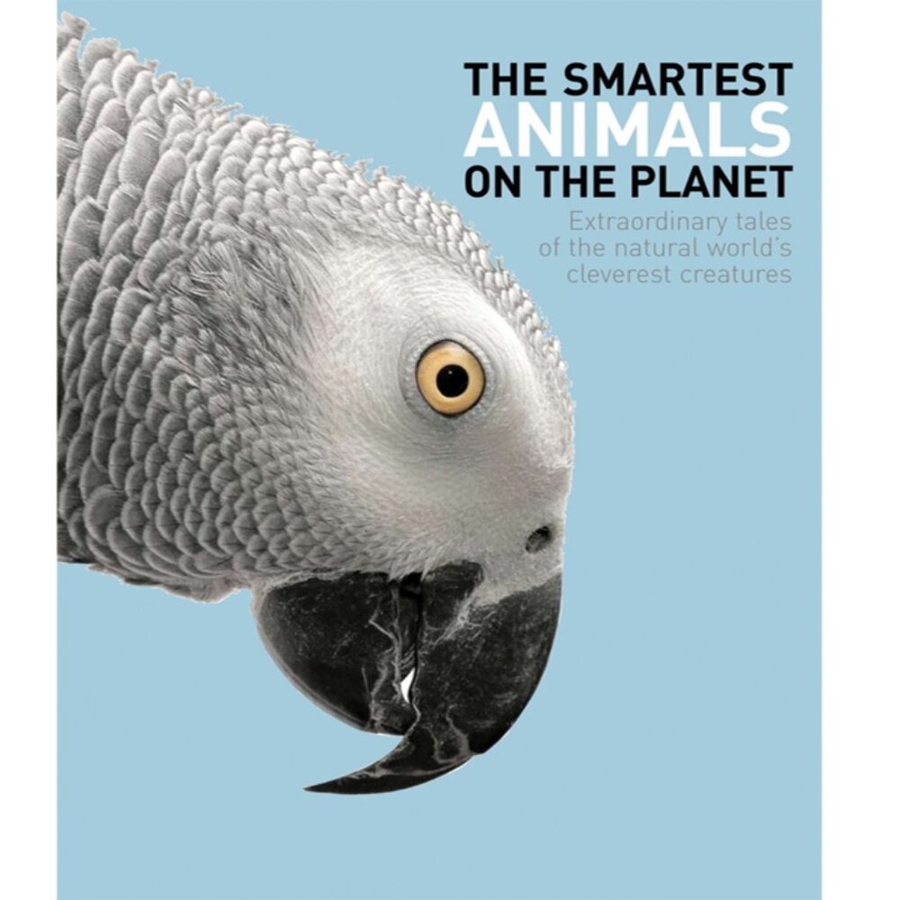 The Smartest Animals on the Planet: Extraordinary Tales Book, Dr. Sally Boysen